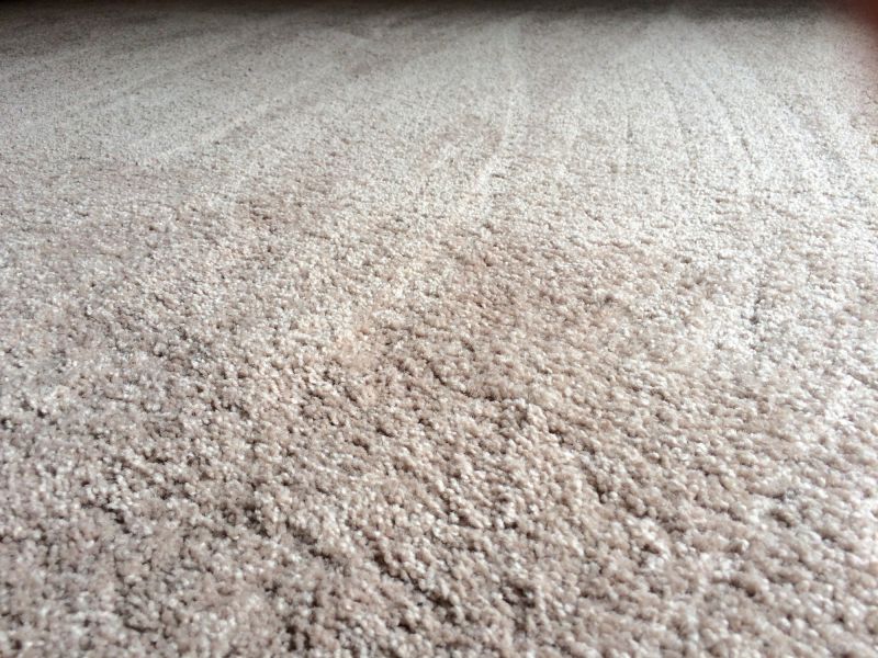 Luxury Carpet Installation in Freehold, NJ