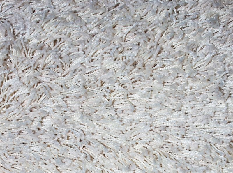 Pet Stain Carpet Repair in Alpharetta, GA